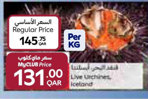 available at كارفور in قطر - الريان