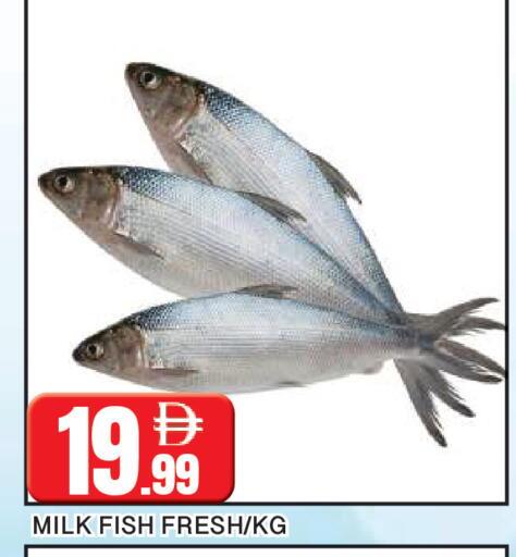 available at AL MADINA in UAE - Sharjah / Ajman