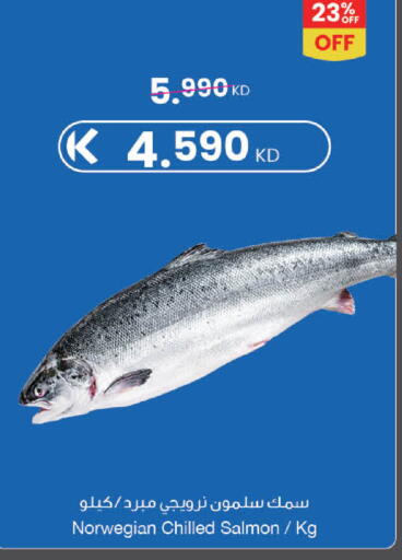 available at مركز سلطان in الكويت - محافظة الأحمدي