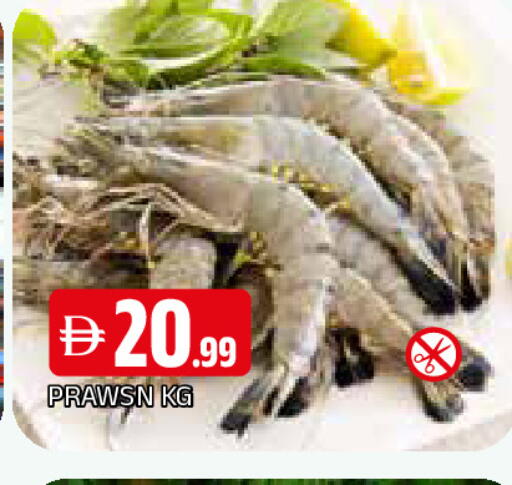 available at المدينة in الإمارات العربية المتحدة , الامارات - الشارقة / عجمان