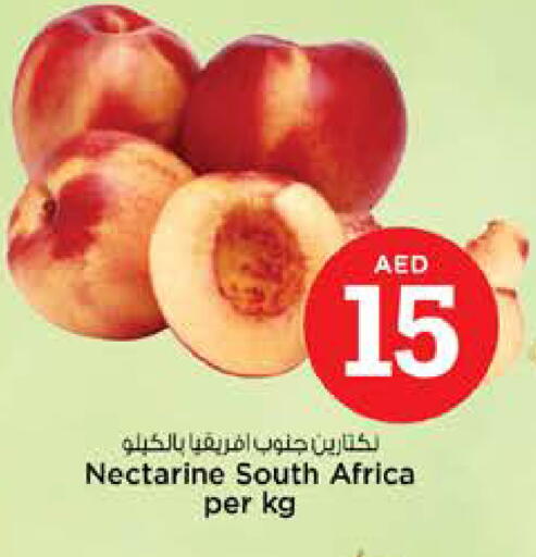Nectarine from South Africa available at Nesto Hypermarket in UAE - Dubai