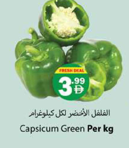 Capsicum available at جلف هايبرماركت ذ.م.م in الإمارات العربية المتحدة , الامارات - رَأْس ٱلْخَيْمَة