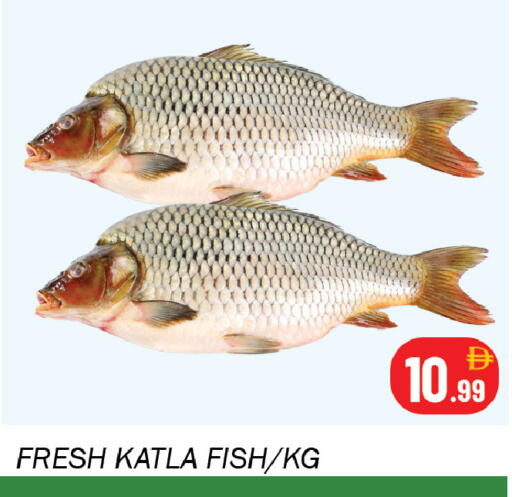 available at سوق المبارك هايبرماركت in الإمارات العربية المتحدة , الامارات - الشارقة / عجمان