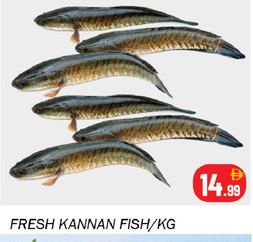 available at سوق المبارك هايبرماركت in الإمارات العربية المتحدة , الامارات - الشارقة / عجمان