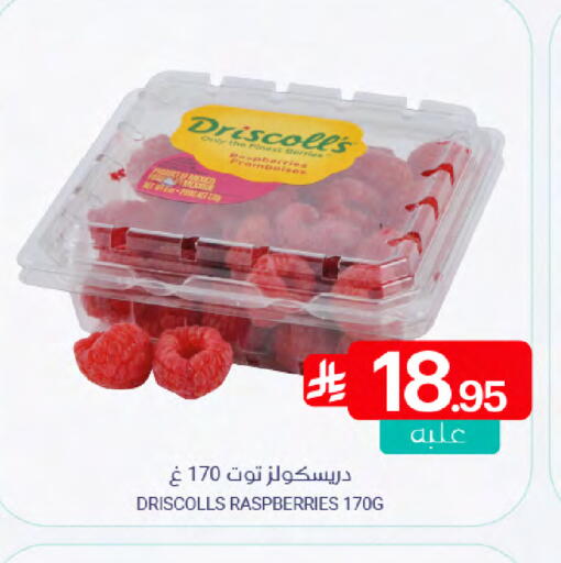 available at اسواق المنتزه in مملكة العربية السعودية, السعودية, سعودية - القطيف‎