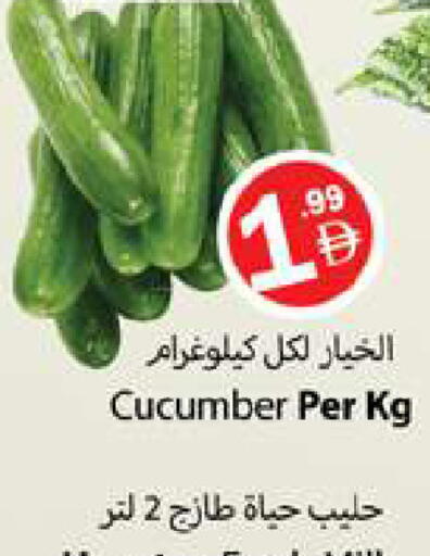 Cucumber available at زين مارت سوبرماركت in الإمارات العربية المتحدة , الامارات - رَأْس ٱلْخَيْمَة