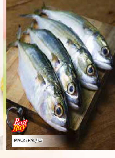 available at المدينة in الإمارات العربية المتحدة , الامارات - الشارقة / عجمان