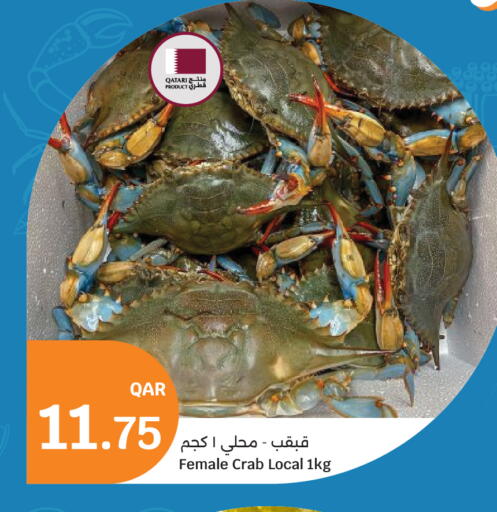 available at City Hypermarket in Qatar - Al-Shahaniya