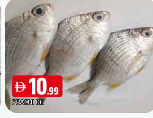 available at المدينة in الإمارات العربية المتحدة , الامارات - الشارقة / عجمان