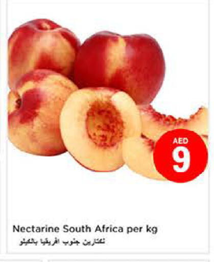 Nectarine from South Africa available at لاست تشانس in الإمارات العربية المتحدة , الامارات - ٱلْفُجَيْرَة‎