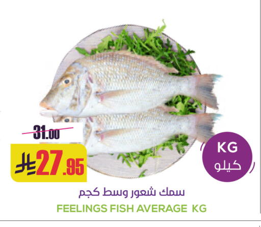 available at سبت in مملكة العربية السعودية, السعودية, سعودية - بريدة