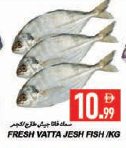 available at  روابي ماركت عجمان in الإمارات العربية المتحدة , الامارات - الشارقة / عجمان