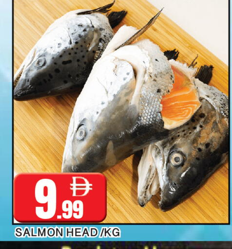 available at المدينة in الإمارات العربية المتحدة , الامارات - الشارقة / عجمان