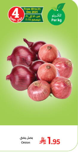 Onion available at Kabayan Hypermarket in KSA, Saudi Arabia, Saudi - Jeddah