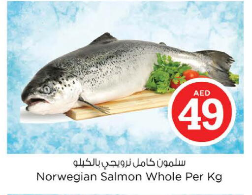 available at نستو هايبرماركت in الإمارات العربية المتحدة , الامارات - الشارقة / عجمان