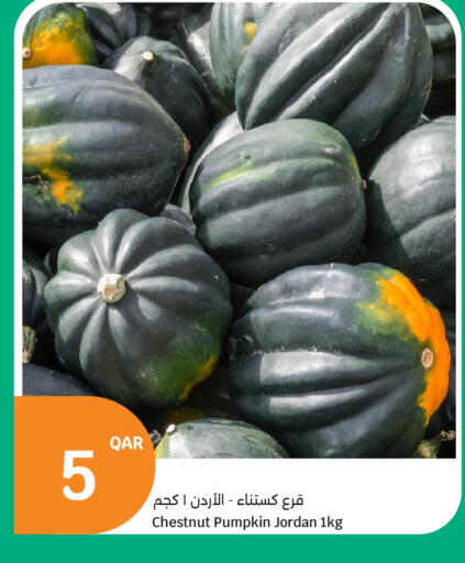 Pumpkin from Jordan available at سيتي هايبرماركت in قطر - الضعاين