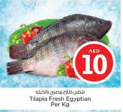 available at نستو هايبرماركت in الإمارات العربية المتحدة , الامارات - الشارقة / عجمان