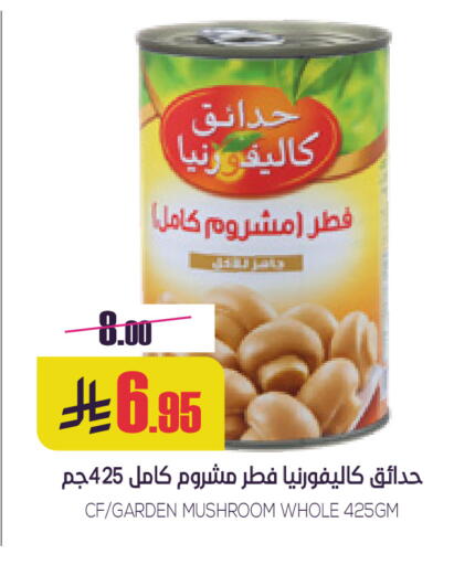 Mushroom available at سبت in مملكة العربية السعودية, السعودية, سعودية - بريدة