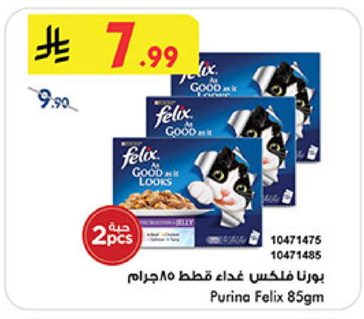 available at بن داود in مملكة العربية السعودية, السعودية, سعودية - المدينة المنورة