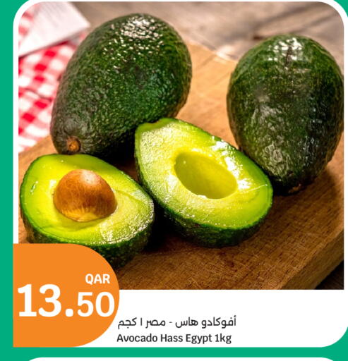 Avocado from Egypt available at سيتي هايبرماركت in قطر - الشمال