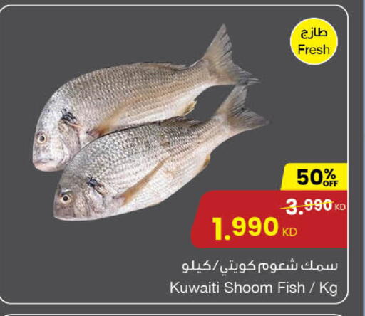 available at مركز سلطان in الكويت - محافظة الأحمدي