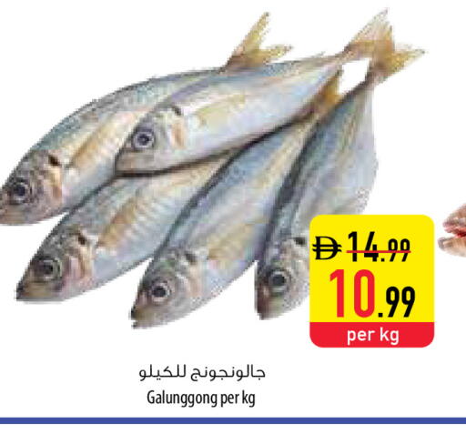 available at السفير ماركت in الإمارات العربية المتحدة , الامارات - أم القيوين‎