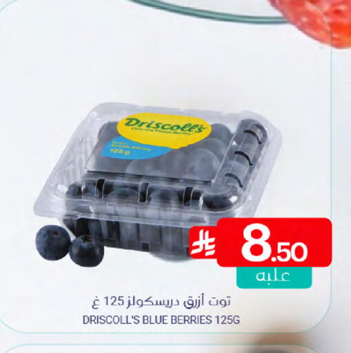 available at اسواق المنتزه in مملكة العربية السعودية, السعودية, سعودية - سيهات