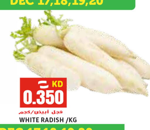 Radish available at  سابساه هايبر ماركت in الكويت - مدينة الكويت