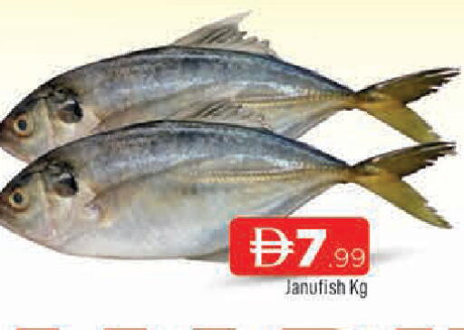 available at المدينة in الإمارات العربية المتحدة , الامارات - الشارقة / عجمان