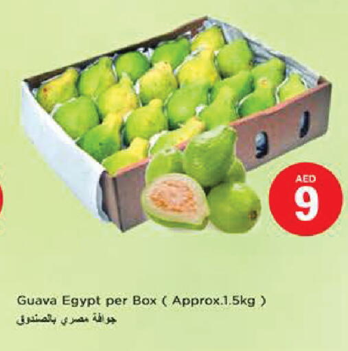 Guava from Egypt available at Nesto Hypermarket in UAE - Al Ain
