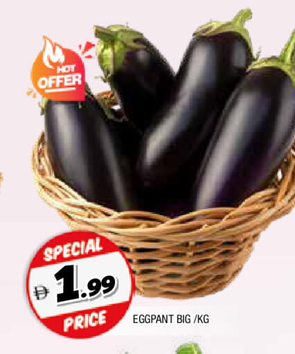 available at المدينة in الإمارات العربية المتحدة , الامارات - الشارقة / عجمان