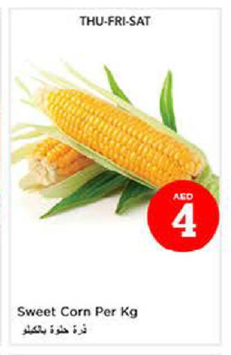 available at لاست تشانس in الإمارات العربية المتحدة , الامارات - ٱلْفُجَيْرَة‎