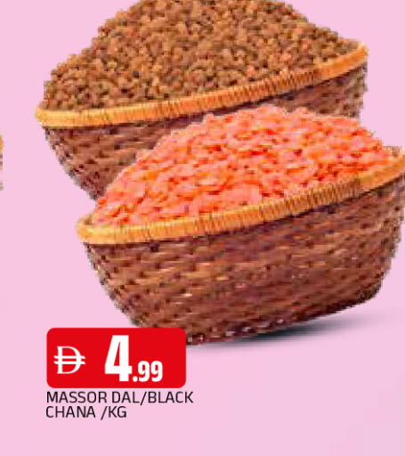 available at المدينة in الإمارات العربية المتحدة , الامارات - الشارقة / عجمان