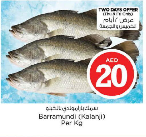 available at نستو هايبرماركت in الإمارات العربية المتحدة , الامارات - الشارقة / عجمان