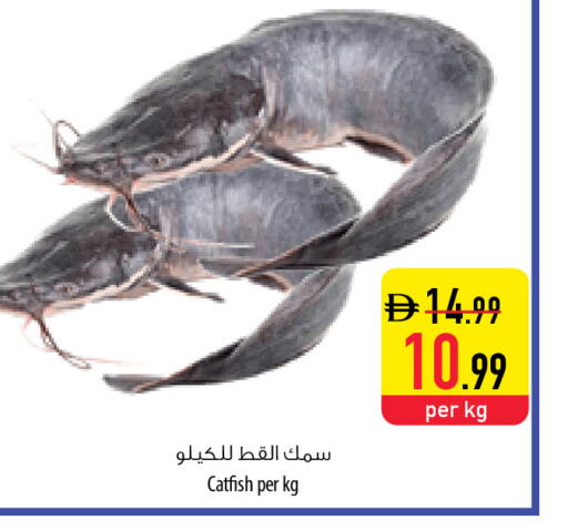 available at السفير ماركت in الإمارات العربية المتحدة , الامارات - أم القيوين‎