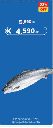 available at مركز سلطان in الكويت - محافظة الأحمدي