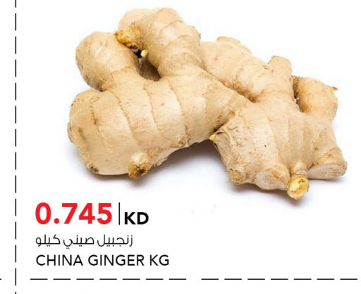 Ginger from China available at  ALNASSER HYPERMARKET in Kuwait - Kuwait City
