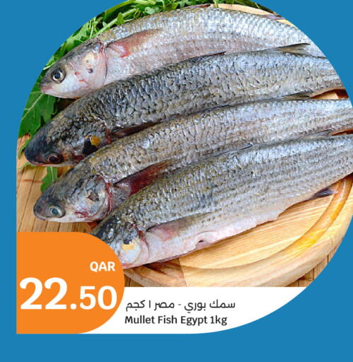 available at City Hypermarket in Qatar - Al Rayyan