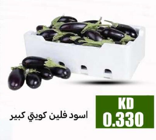 available at شركة سوق ميم المركزي  in الكويت - محافظة الأحمدي