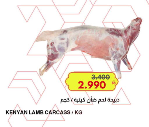 available at مالتي ماركت in البحرين