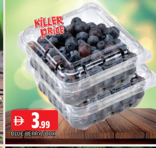 available at المدينة in الإمارات العربية المتحدة , الامارات - الشارقة / عجمان