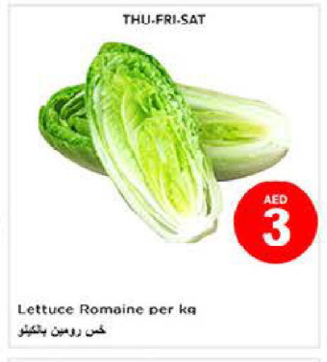 Lettuce available at لاست تشانس in الإمارات العربية المتحدة , الامارات - ٱلْفُجَيْرَة‎