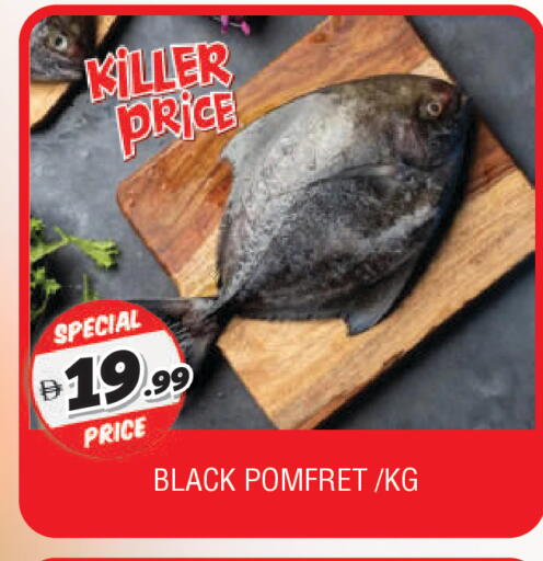 available at AL MADINA in UAE - Sharjah / Ajman