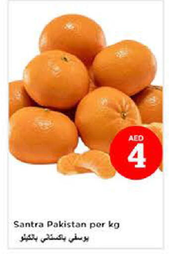 from Pakistan available at لاست تشانس in الإمارات العربية المتحدة , الامارات - ٱلْفُجَيْرَة‎