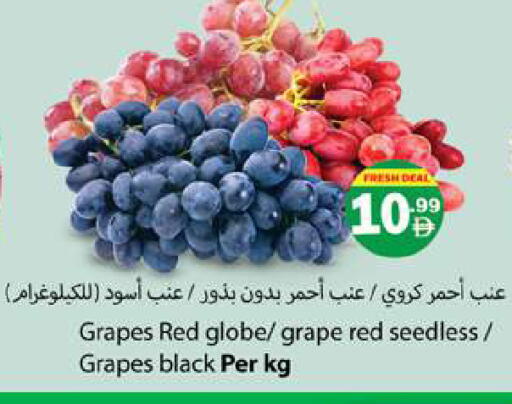 available at Gulf Hypermarket LLC in UAE - Ras al Khaimah