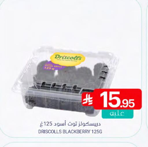 Blackberry from South Africa available at اسواق المنتزه in مملكة العربية السعودية, السعودية, سعودية - القطيف‎