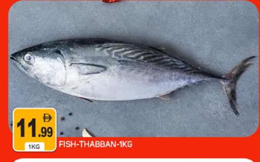 available at سوق طلال in الإمارات العربية المتحدة , الامارات - دبي