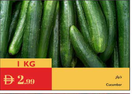Cucumber available at إسطنبول سوبرماركت in الإمارات العربية المتحدة , الامارات - الشارقة / عجمان