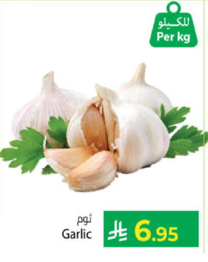 Garlic available at Kabayan Hypermarket in KSA, Saudi Arabia, Saudi - Yanbu