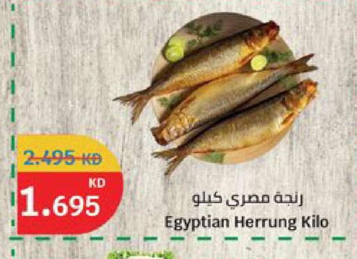 available at سيتي هايبرماركت in الكويت - محافظة الجهراء